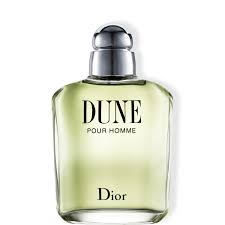 DIOR DUNE POUR HOMME TOILETTE 100ML